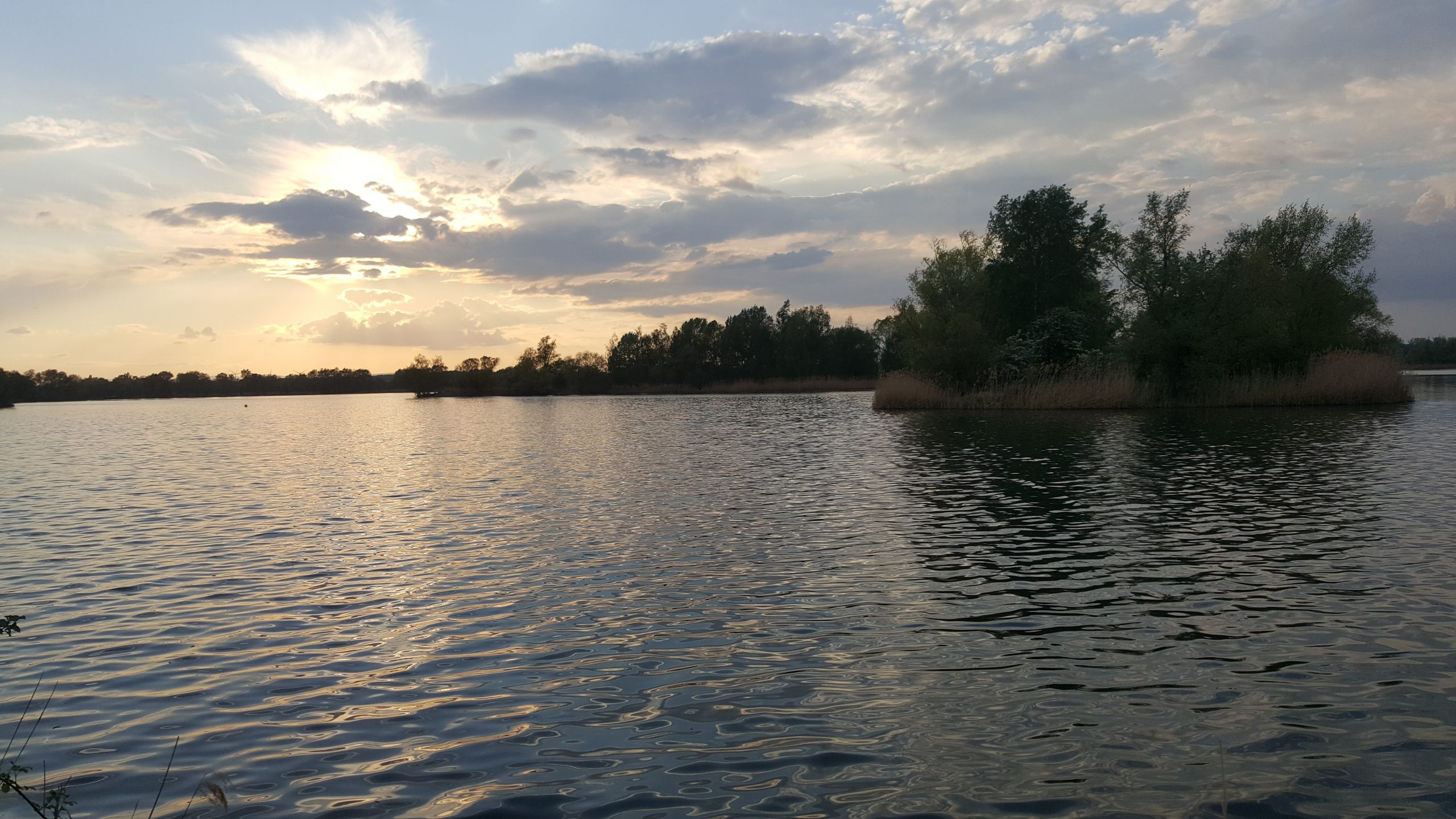 Erlichsee Bei Speyer Entdecke Natur erlichsee-bei-speyer-entdecke-natur
