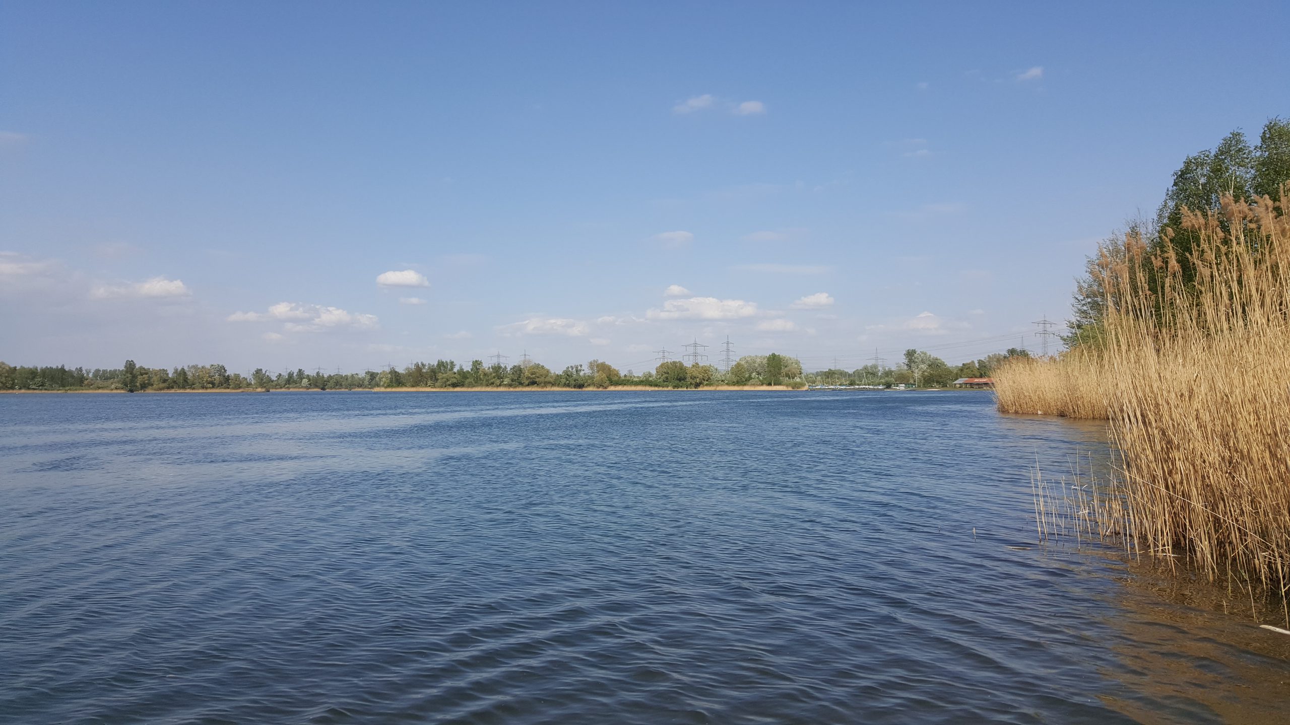 Erlichsee Bei Speyer Entdecke Natur erlichsee-bei-speyer-entdecke-natur